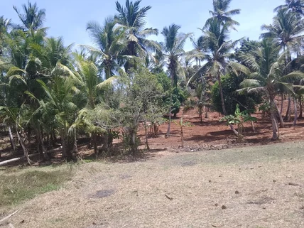 Land for sale in Vipingo, Kilifi County