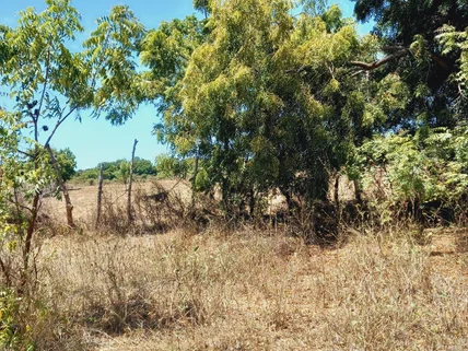 Land for sale in Kilifi, Kilifi County