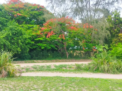 Land for sale in Mtwapa, Kilifi County
