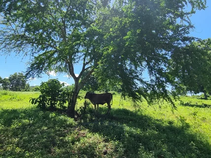 Land for sale in Kikambala, Kilifi County