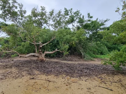 Land for sale in Mtwapa, Kilifi County