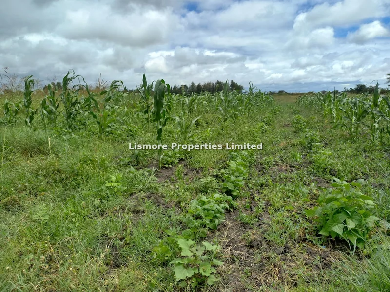 Land for sale in Ruai