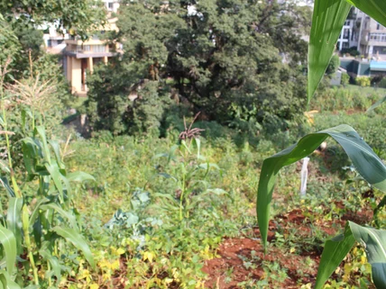 Land for sale in Spring Valley, Westlands