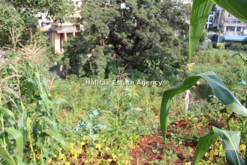 Land for sale in Spring Valley