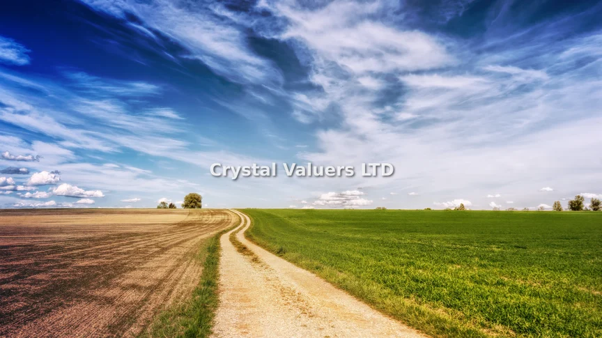 Land for sale in Bisil