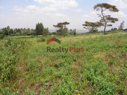 Land for sale in Nyeri