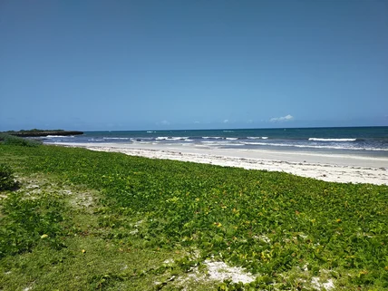 Land for sale in Bofa, Kilifi County
