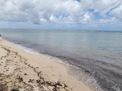Land for sale in Vipingo, Kilifi County