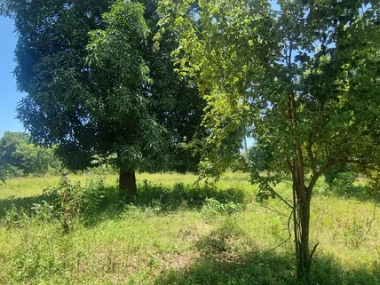 Land for sale in Kilifi, Kilifi County