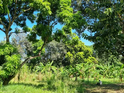Land for sale in Mtwapa, Kilifi County