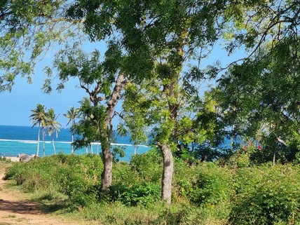 Land for sale in Kikambala, Kilifi County