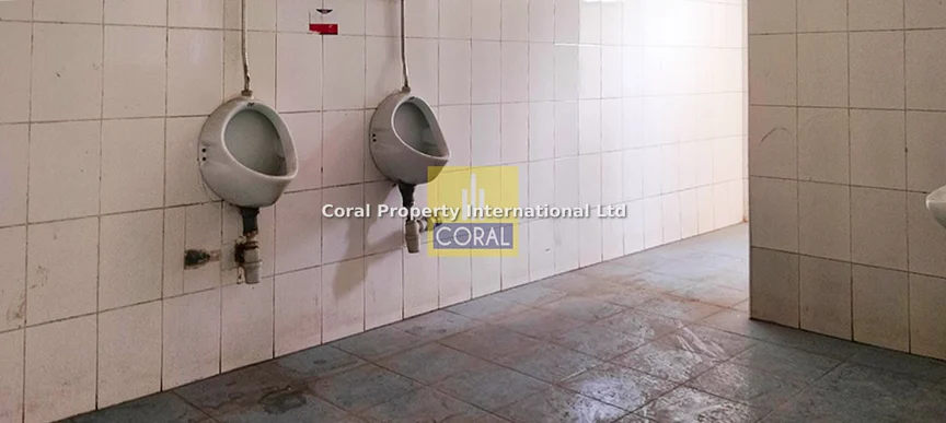 Thumbnail 16