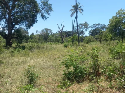 Residential Land for sale in Kilifi, Kilifi County