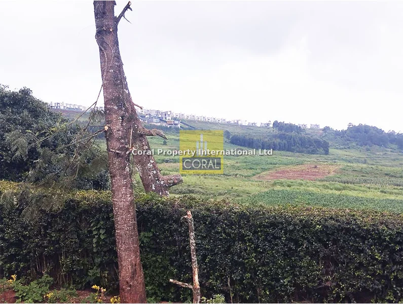 Land for sale in Tigoni