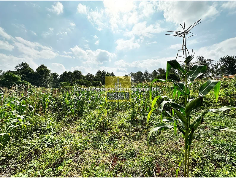 Land for sale in Ruiru
