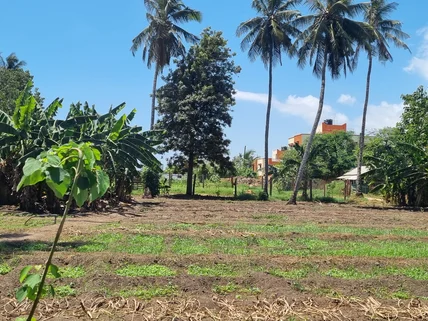 Land for sale in Mtwapa, Kilifi County