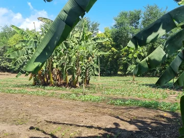 Thumbnail 13
