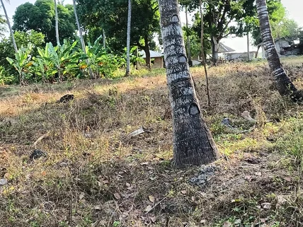 Land for sale in Mtwapa, Kilifi County