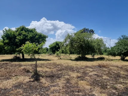 Land for sale in Mtwapa, Kilifi County