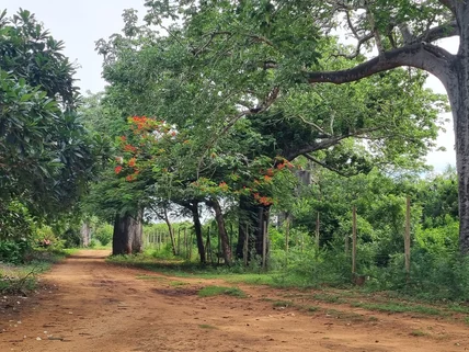 Land for sale in Bofa, Kilifi County
