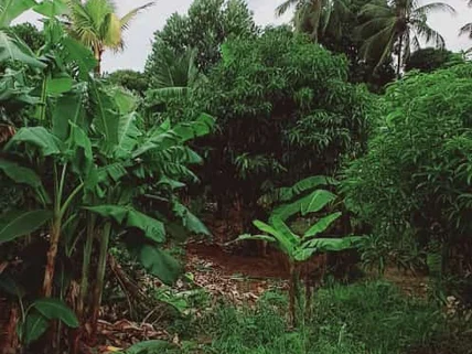 Land for sale in Kikambala, Kilifi County