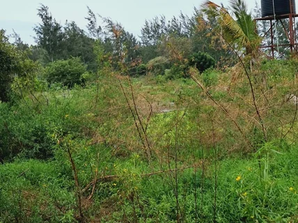 Land for sale in Kilifi, Kilifi County