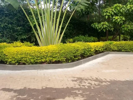 5-bedroom House for sale in Garden Estate, Roysambu