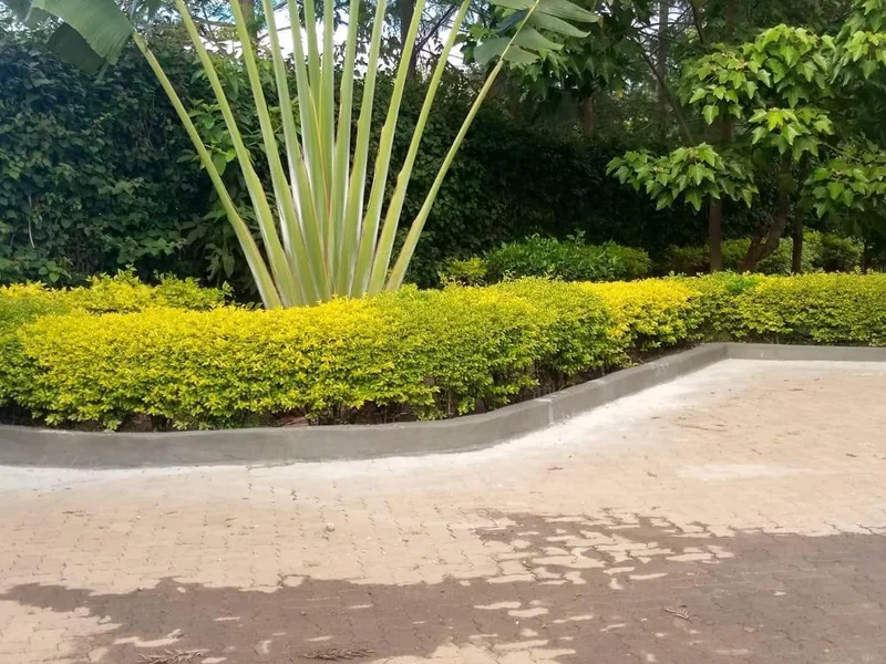 Garden Estate/Ridgeways 5 bedroom house for sale