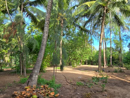 Land for sale in Kikambala, Kilifi County
