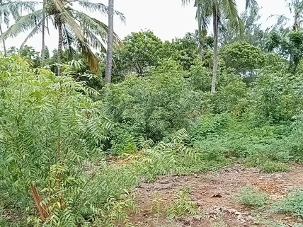 Land for sale in Watamu, Kilifi County