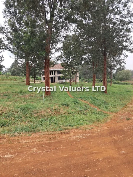 Land for sale in Tatu City
