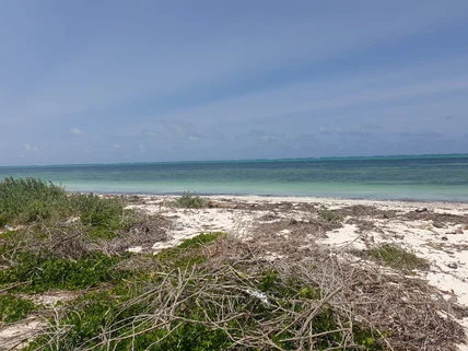 Land for sale in Watamu, Kilifi County