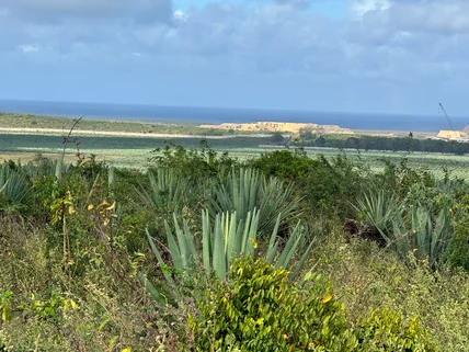 Land for sale in Vipingo, Kilifi County