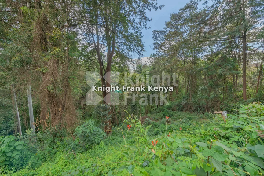 Land for sale in Kitisuru