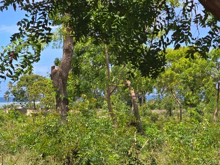 Land for sale in Kikambala, Kilifi County