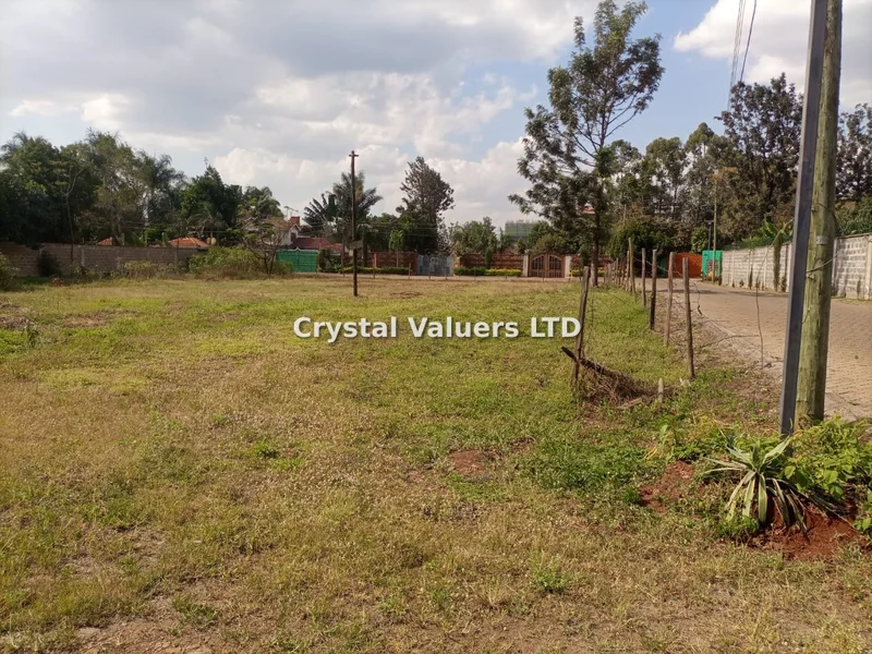 Land for sale in Roysambu Area