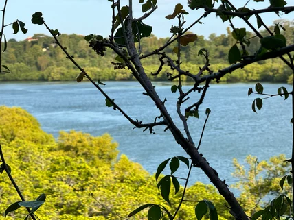 Land for sale in Mtwapa, Kilifi County