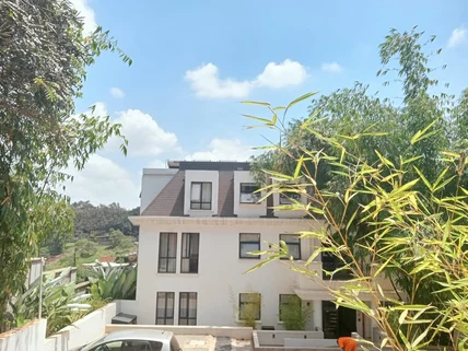 1-bedroom Apartment for rent in Kitisuru, Westlands