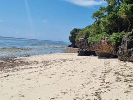 Land for sale in Vipingo, Kilifi County