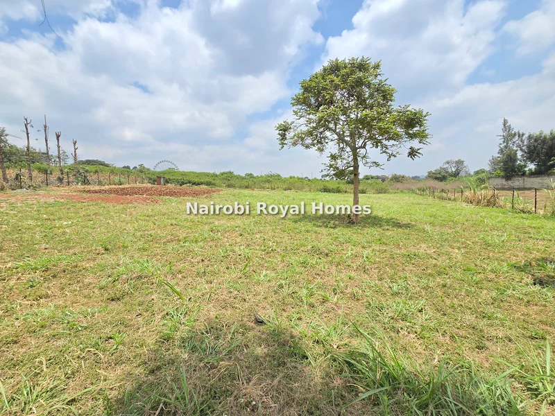Residential Land for sale in Runda
