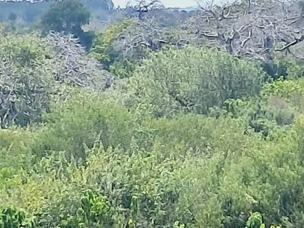 Land for sale in Kilifi, Kilifi County