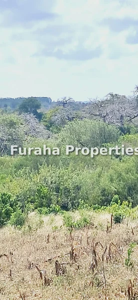 Land for sale in Kilifi