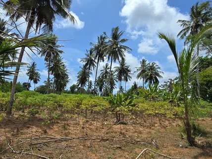 Land for sale in Kikambala, Kilifi County