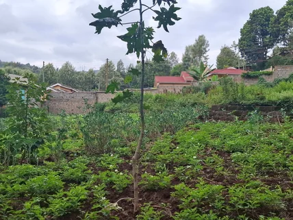 Land for sale in Ngong, Kajiado County