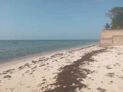 Land for sale in Diani, Kwale County