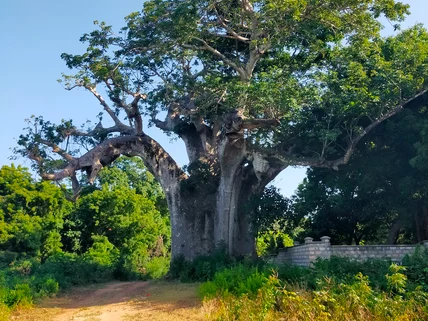 Land for sale in Vipingo, Kilifi County