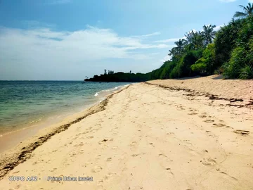 Thumbnail 15