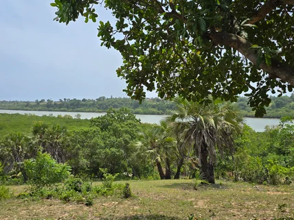 Land for sale in Mtwapa, Kilifi County