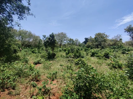 Land for sale in Diani, Kwale County