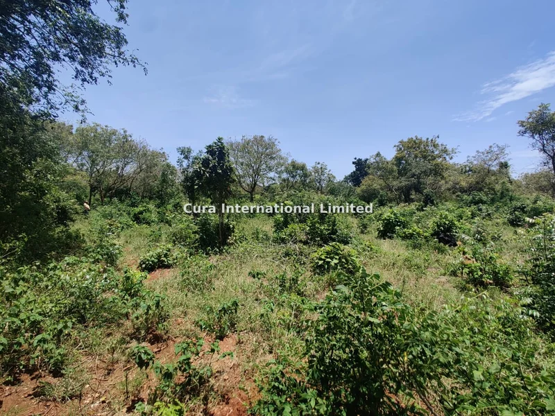 Land for sale in Diani